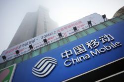 【4分钟教程】七台河政府热线12345_哔哩哔哩-2
